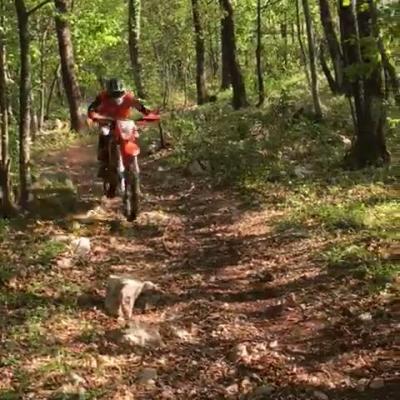 Vid 20170417 Wa0005 811