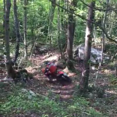 Vid 20170417 Wa0008 2399