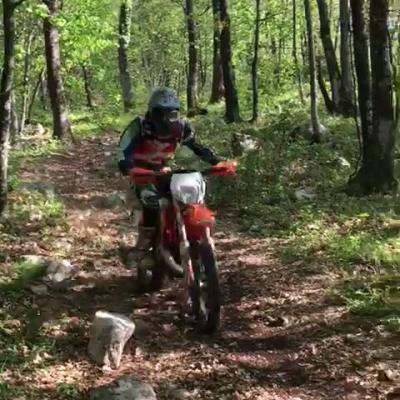 Vid 20170417 Wa0009 1600